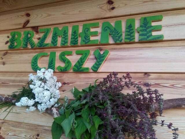 Фермерские дома Gniewoszów Brzmienie Ciszy Domaszków-14